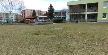 project_image