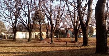 project_image